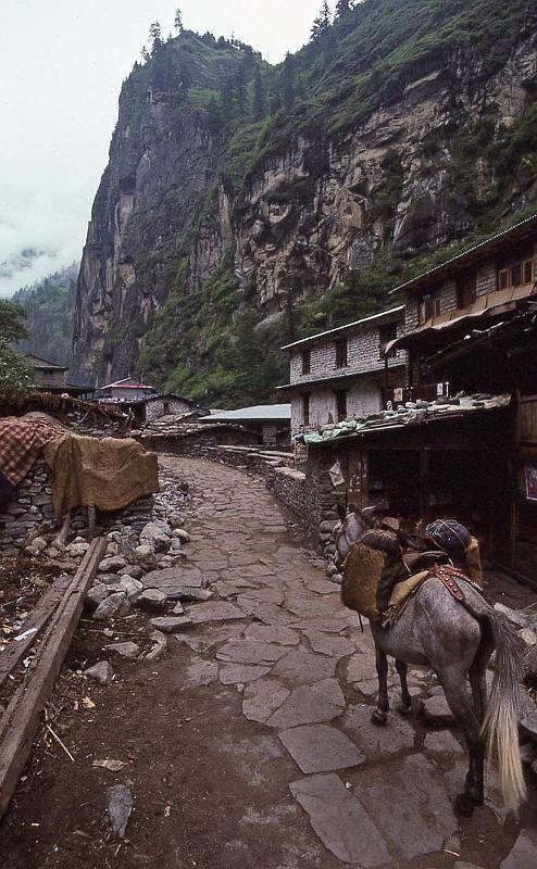 WT 1000 152-12 Nepal.jpg